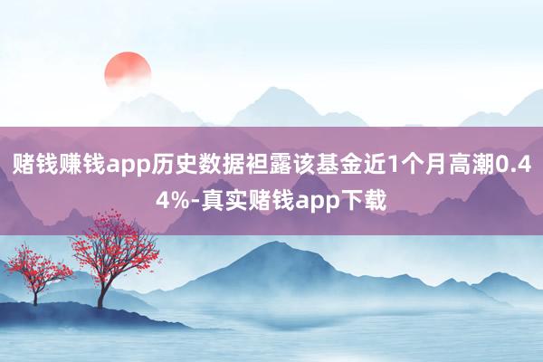 赌钱赚钱app历史数据袒露该基金近1个月高潮0.44%-真实赌钱app下载