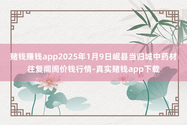 赌钱赚钱app2025年1月9日岷县当归城中药材往复阛阓价钱行情-真实赌钱app下载