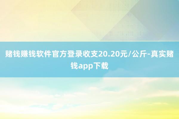 赌钱赚钱软件官方登录收支20.20元/公斤-真实赌钱app下载