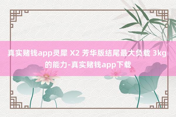 真实赌钱app灵犀 X2 芳华版结尾最大负载 3kg 的能力-真实赌钱app下载