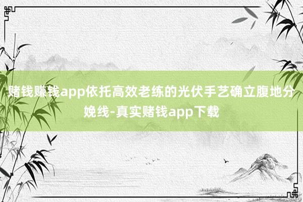 赌钱赚钱app依托高效老练的光伏手艺确立腹地分娩线-真实赌钱app下载