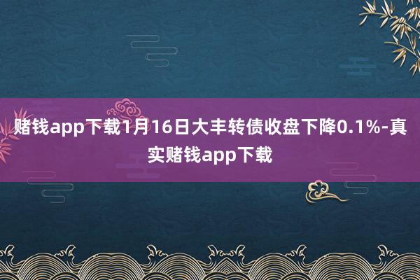赌钱app下载1月16日大丰转债收盘下降0.1%-真实赌钱app下载