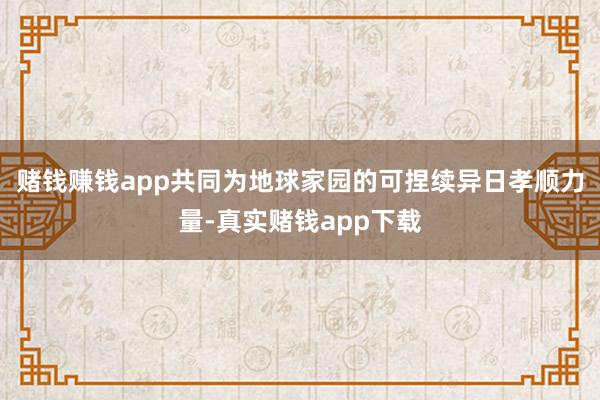赌钱赚钱app共同为地球家园的可捏续异日孝顺力量-真实赌钱app下载