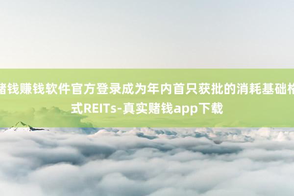 赌钱赚钱软件官方登录成为年内首只获批的消耗基础格式REITs-真实赌钱app下载