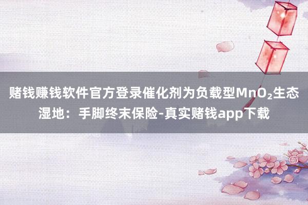 赌钱赚钱软件官方登录催化剂为负载型MnO₂生态湿地：手脚终末保险-真实赌钱app下载