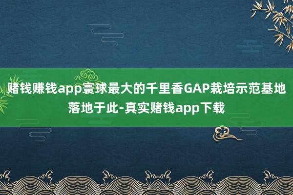 赌钱赚钱app寰球最大的千里香GAP栽培示范基地落地于此-真实赌钱app下载